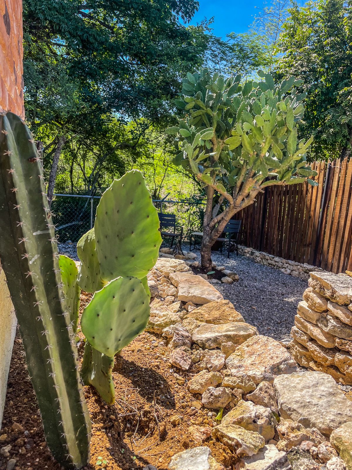 cabaña,jalpandeserra,pueblomagico,casitabugambilia,petfriendly,fogata,terraza,naturaleza,hospedaje,sierragorda 