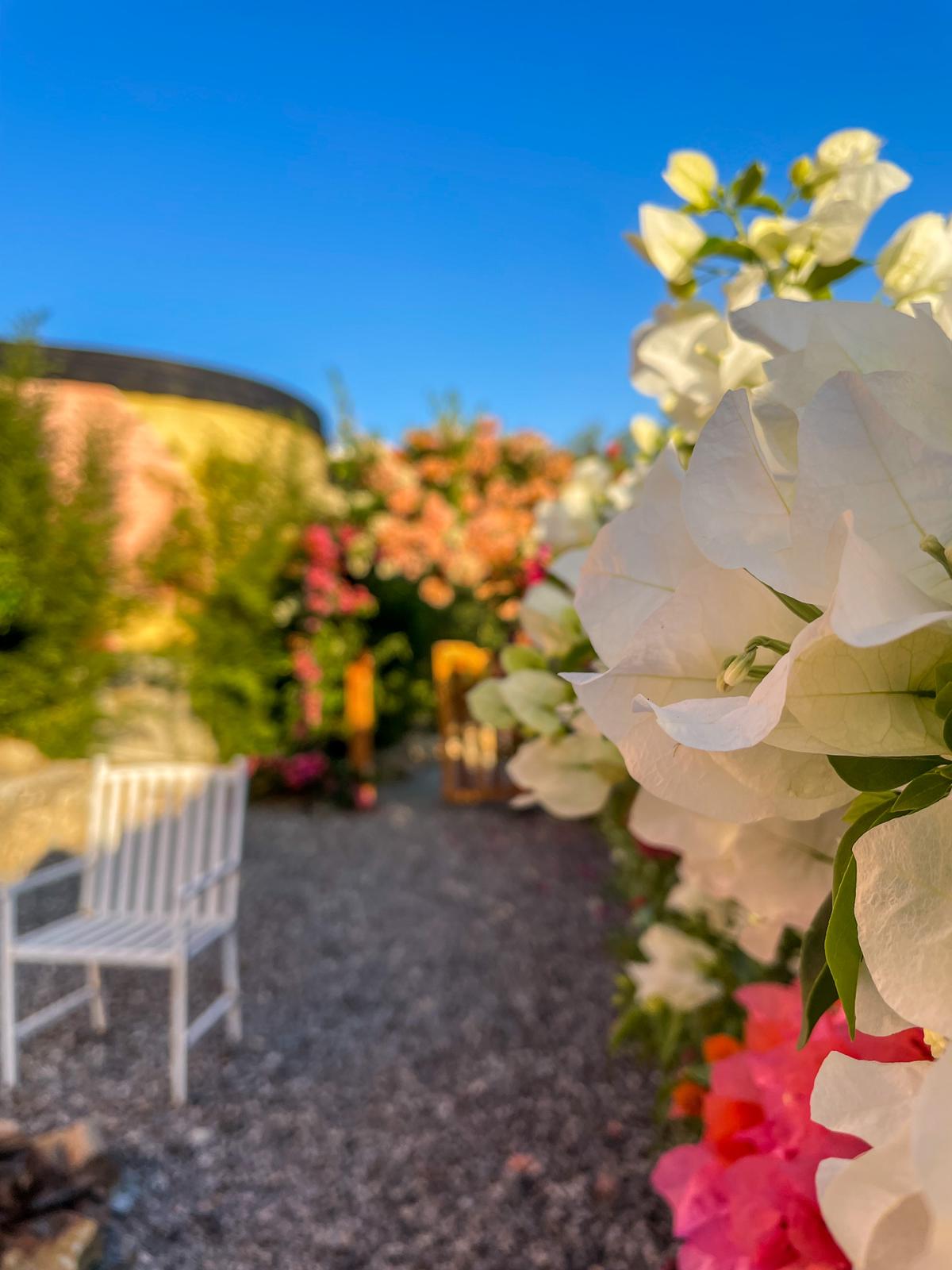 cabaña,jalpandeserra,pueblomagico,casitabugambilia,petfriendly,fogata,terraza,naturaleza,hospedaje,sierragorda 