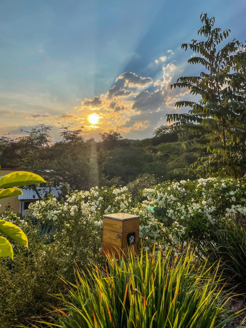 cabaña,jalpandeserra,pueblomagico,casitabugambilia,petfriendly,fogata,terraza,naturaleza,hospedaje,sierragorda 