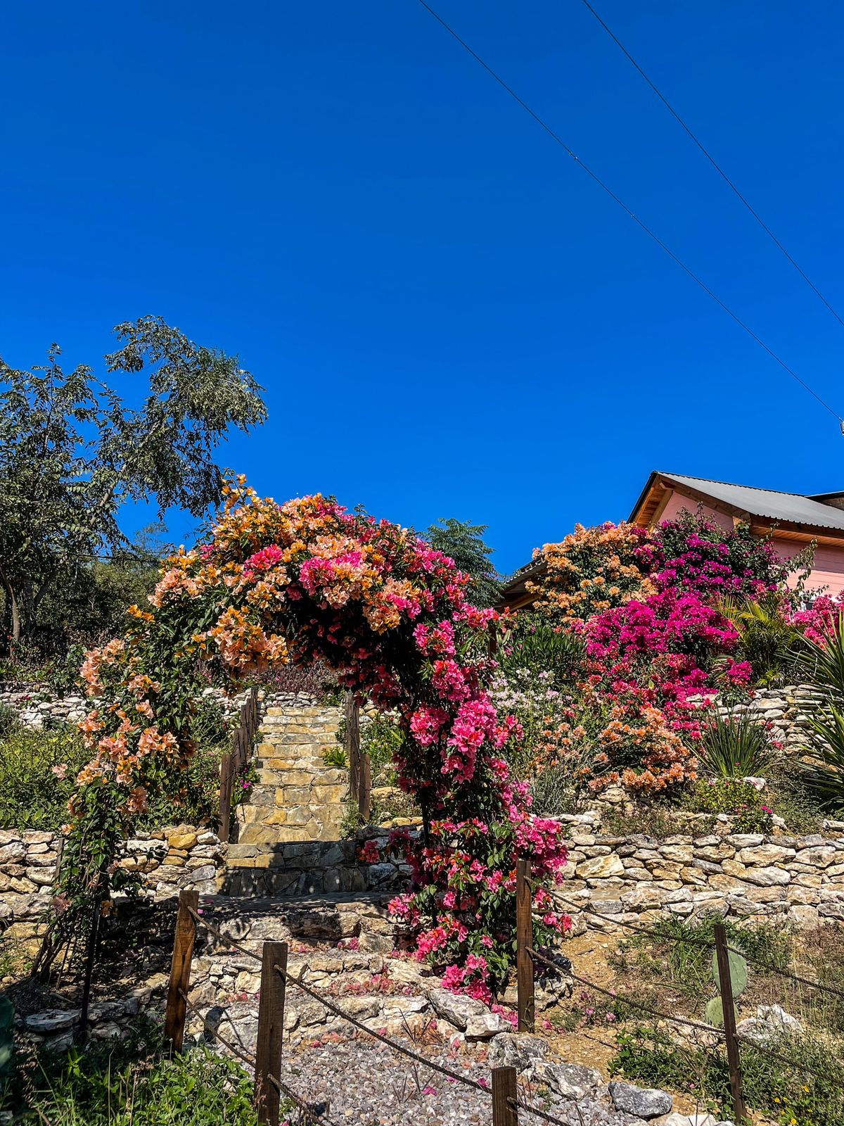 cabaña,jalpandeserra,pueblomagico,casitabugambilia,petfriendly,fogata,terraza,naturaleza,hospedaje,sierragorda 