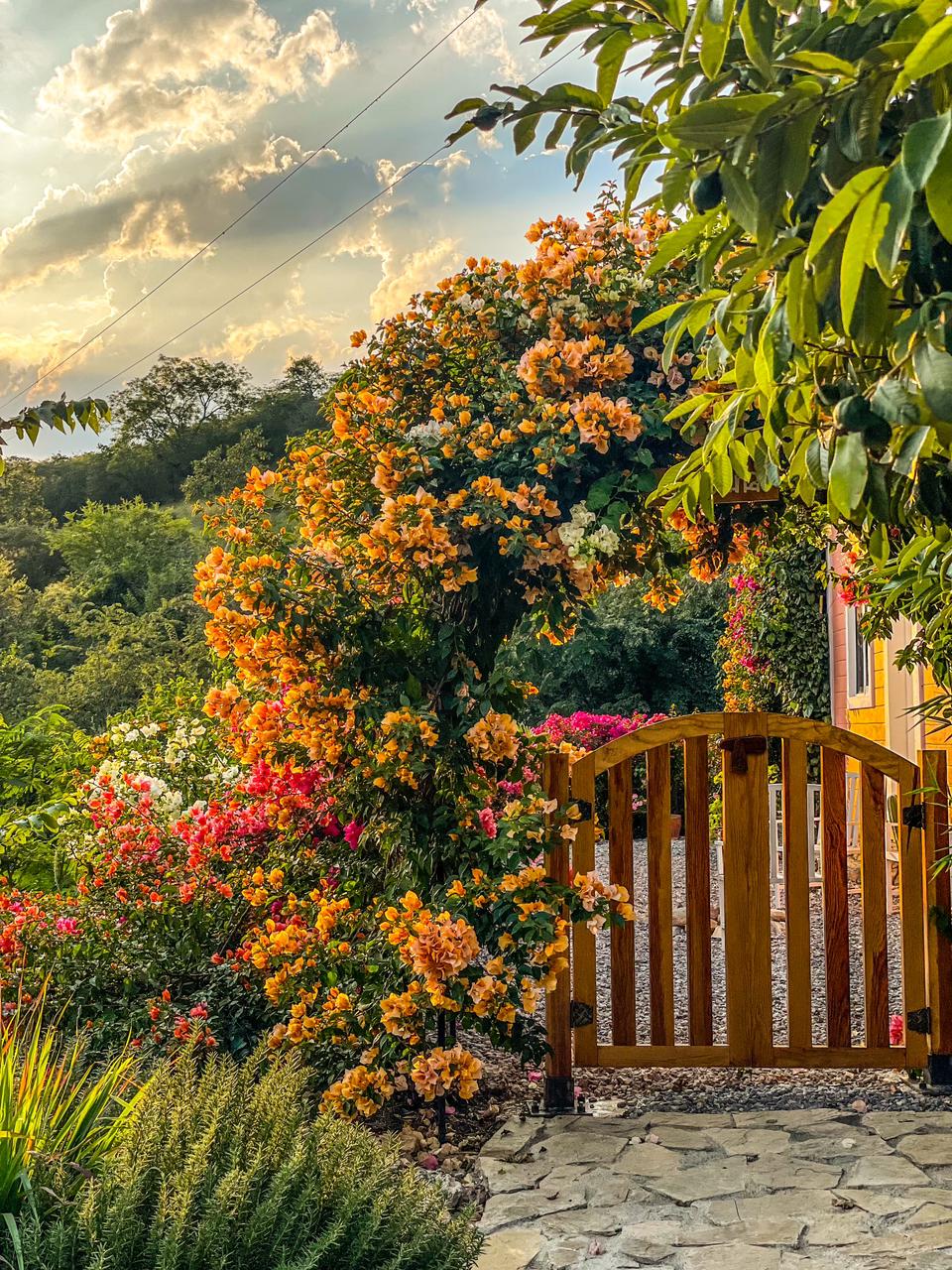 cabaña,jalpandeserra,pueblomagico,casitabugambilia,petfriendly,fogata,terraza,naturaleza,hospedaje,sierragorda 