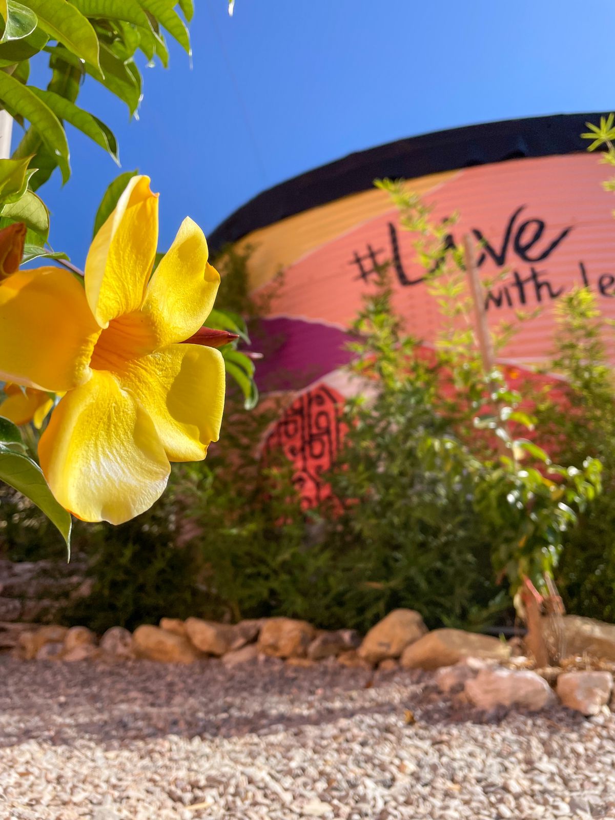 cabaña,jalpandeserra,pueblomagico,casitabugambilia,petfriendly,fogata,terraza,naturaleza,hospedaje,sierragorda 