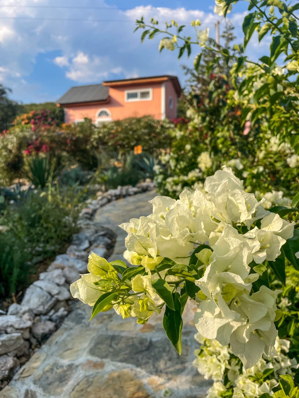 cabaña,jalpandeserra,pueblomagico,casitabugambilia,petfriendly,fogata,terraza,naturaleza,hospedaje,sierragorda 