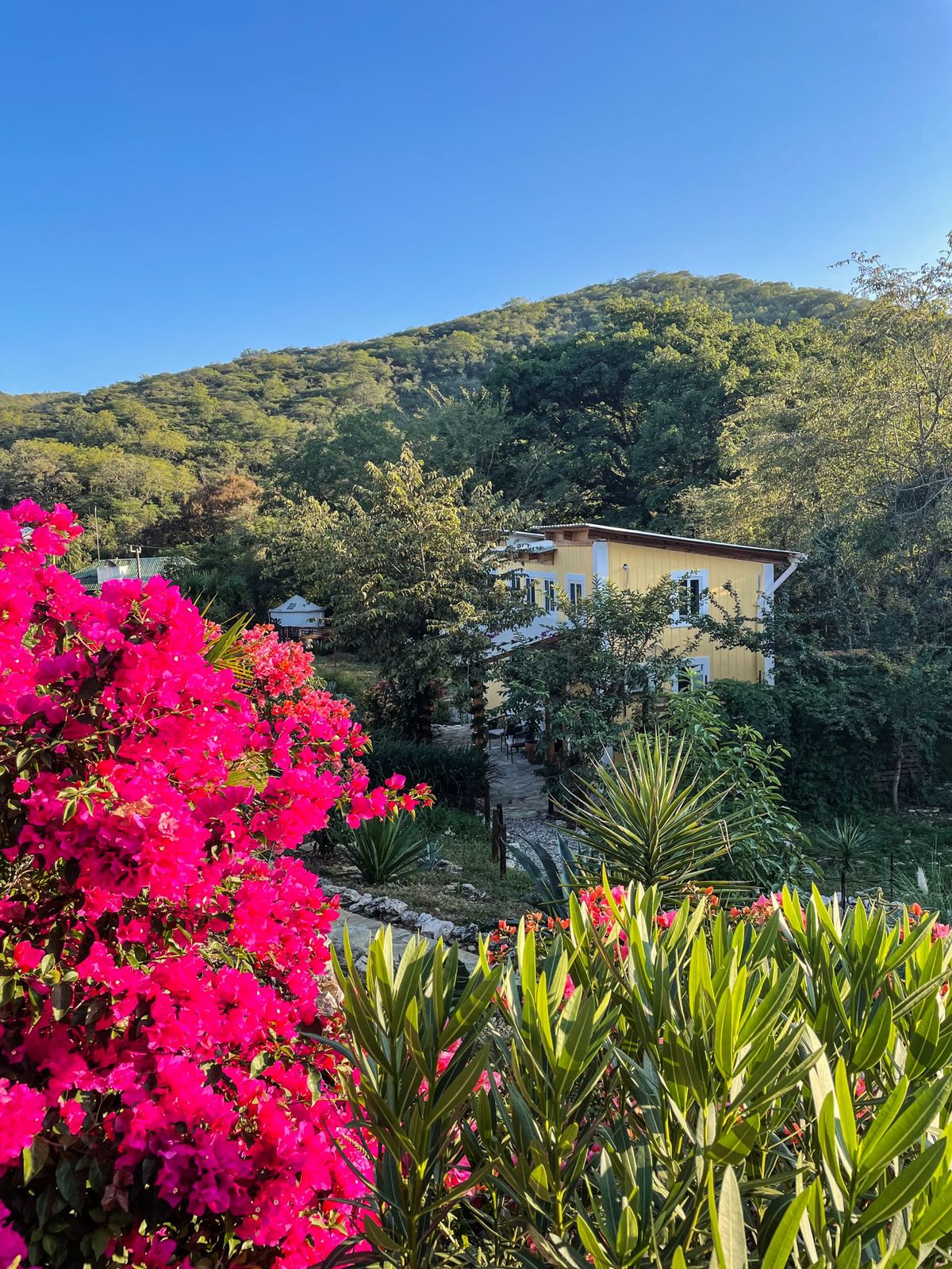 cabaña,jalpandeserra,pueblomagico,casitabugambilia,petfriendly,fogata,terraza,naturaleza,hospedaje,sierragorda 