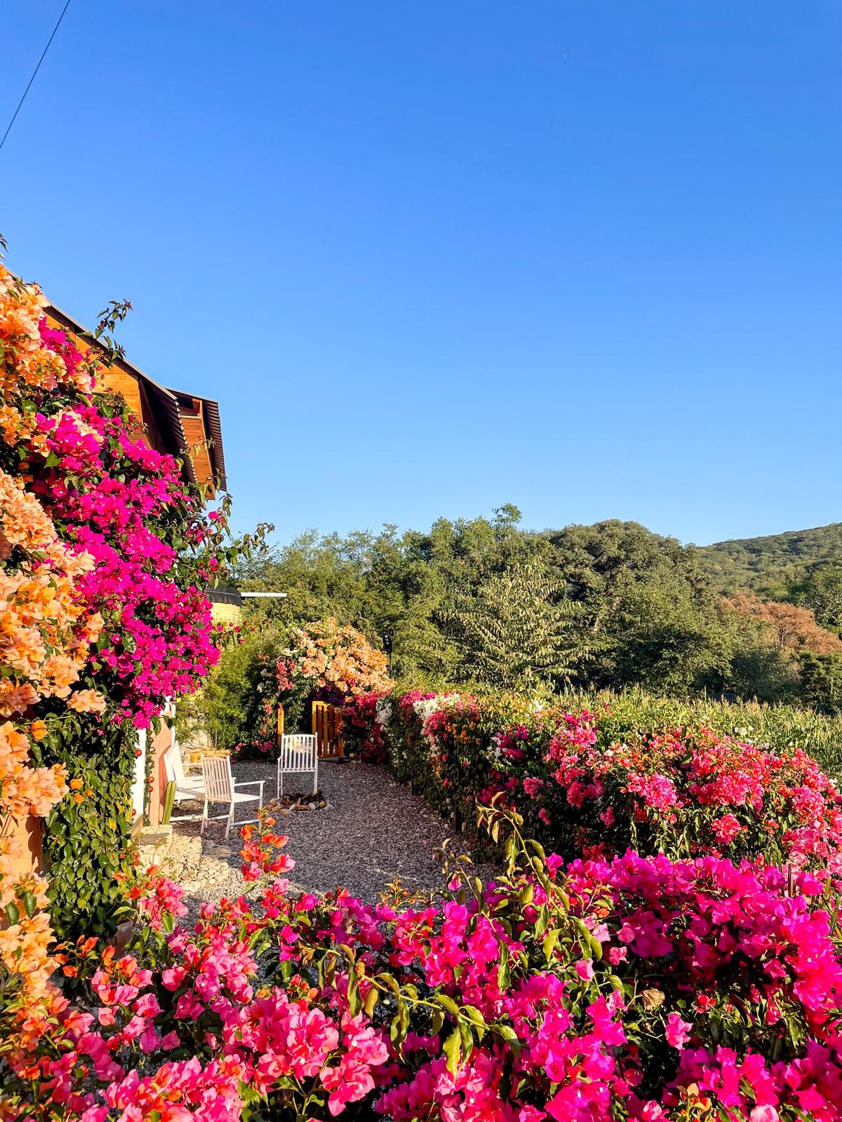 cabaña,jalpandeserra,pueblomagico,casitabugambilia,petfriendly,fogata,terraza,naturaleza,hospedaje,sierragorda 